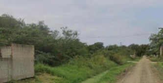 Lote 313 da quadra 14 do loteamento chácara rincão / mimoso, situado no 3º distrito de maricá, com área de 2.734,05m2